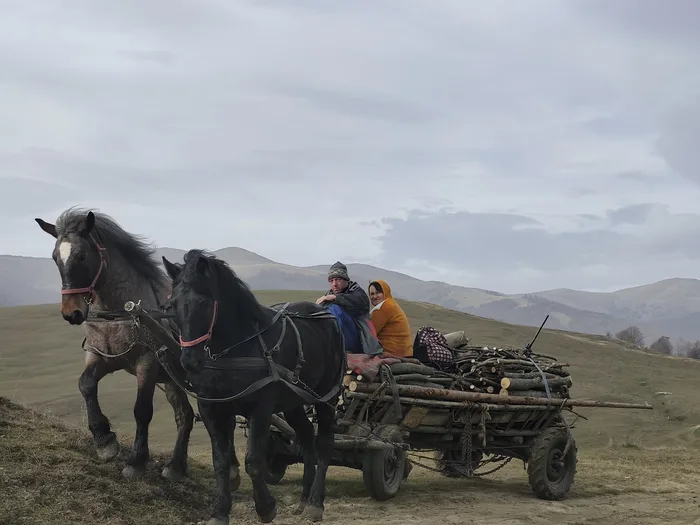 טיול גיפים ברומניה נהיגה עצמית - 8 ימים - מגוון תאריכים